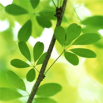 展会预告 | 西克视觉，深度视界...
